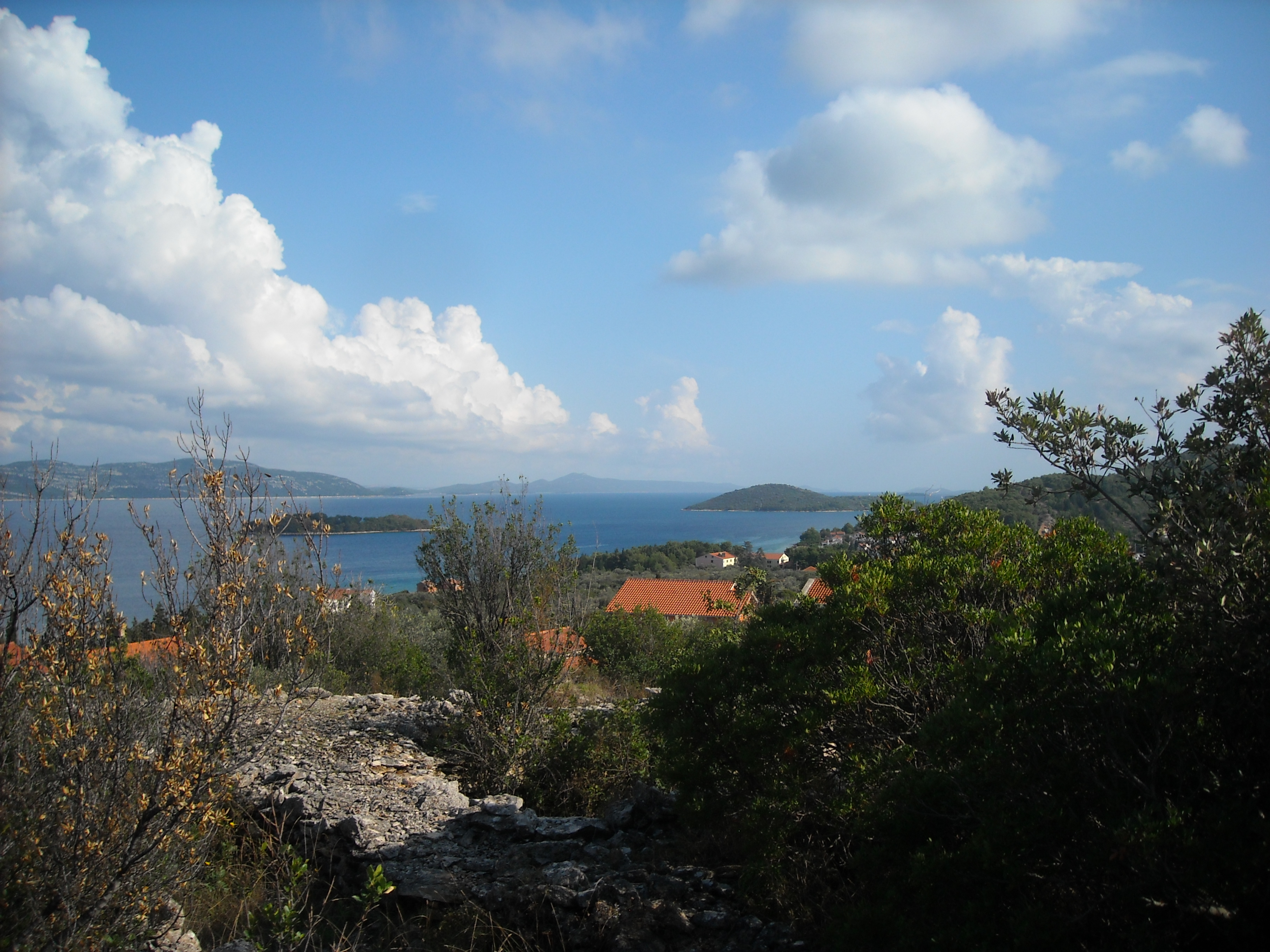 (Looking out on the Adriatic from the island of Iz.)