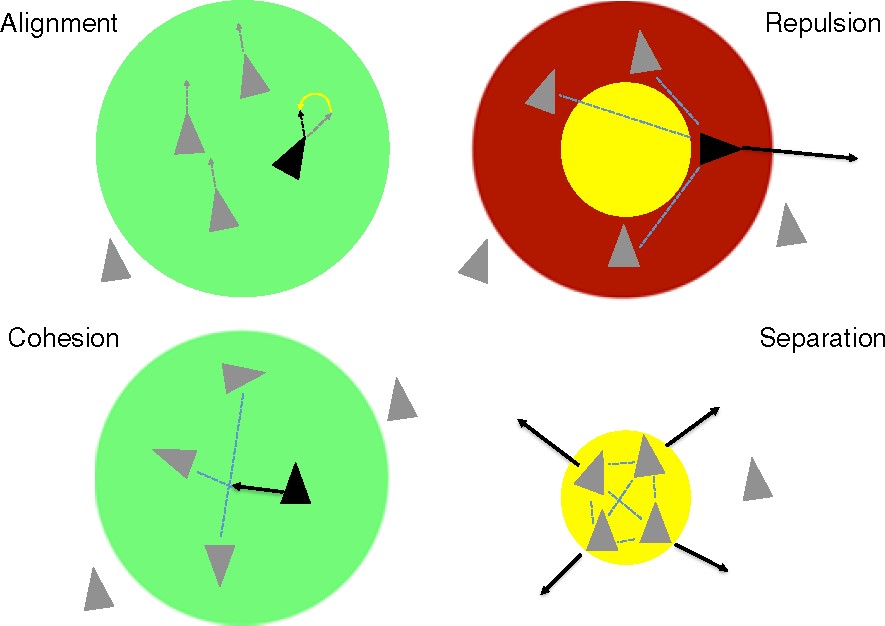 (An example illustration of boid rules (from Narechania et al.). The Narechania paper uses slightly different terminology but the general concepts are the same.)